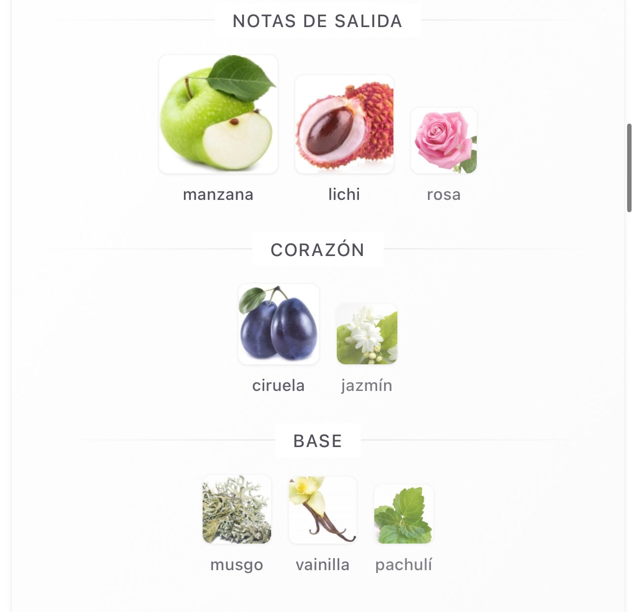 BADE'E AL OUD SUBLIME